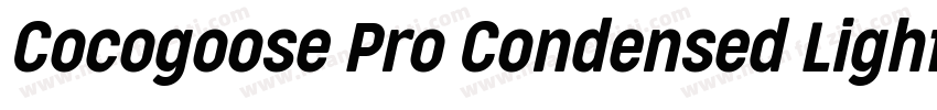 Cocogoose Pro Condensed LightIta字体转换